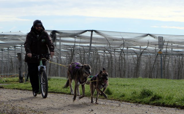 training 18-03 2018-04-02-10h24m00